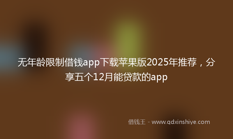 无年龄限制借钱app下载苹果版2025年推荐，分享五个12月能贷款的app