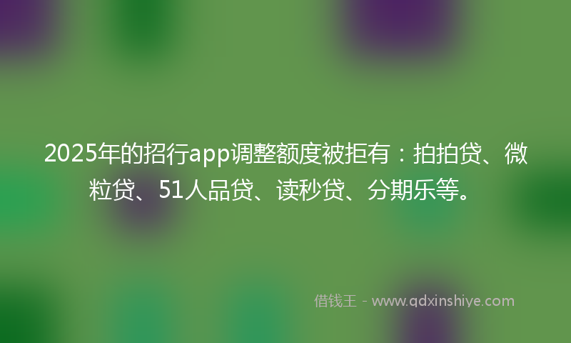 2025年的招行app调整额度被拒有：拍拍贷、微粒贷、51人品贷、读秒贷、分期乐等。