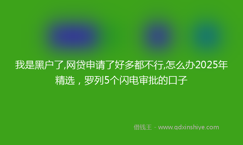 我是黑户了,网贷申请了好多都不行,怎么办2025年精选，罗列5个闪电审批的口子