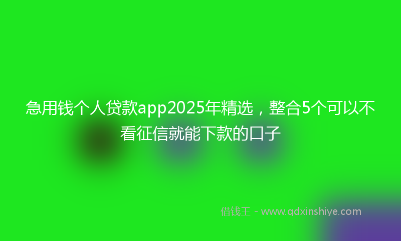 急用钱个人贷款app2025年精选，整合5个可以不看征信就能下款的口子
