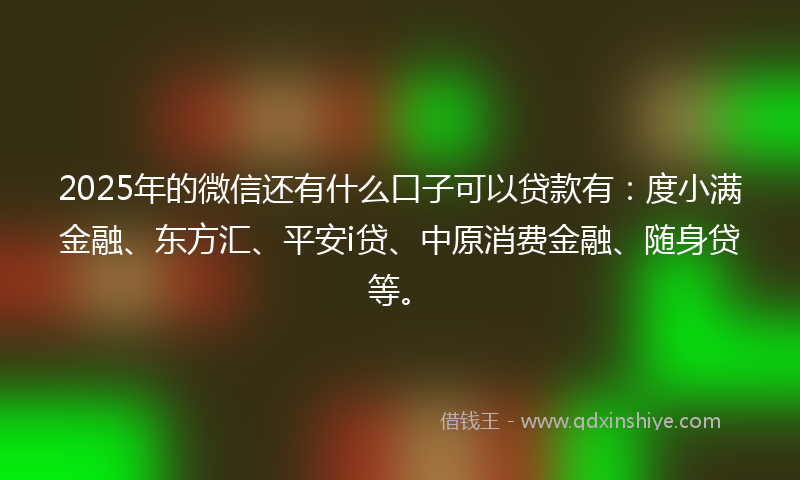 2025年的微信还有什么口子可以贷款有：度小满金融、东方汇、平安i贷、中原消费金融、随身贷等。
