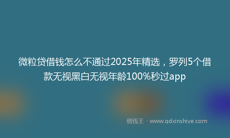 微粒贷借钱怎么不通过2025年精选，罗列5个借款无视黑白无视年龄100%秒过app