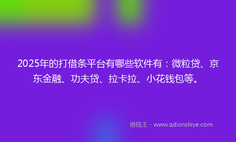 2025年的打借条平台有哪些软件有：微粒贷、京东金融、功夫贷、拉卡拉、小花钱包等。