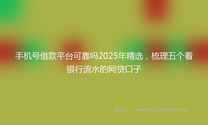 手机号借款平台可靠吗2025年精选，梳理五个看银行流水的网贷口子