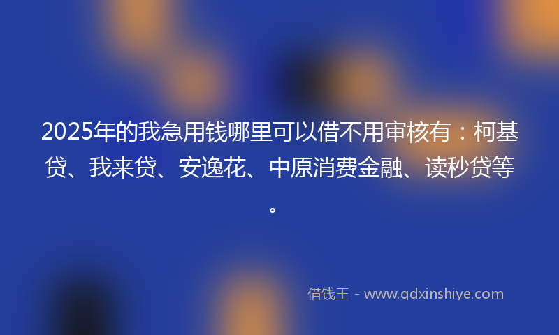 2025年的我急用钱哪里可以借不用审核有：柯基贷、我来贷、安逸花、中原消费金融、读秒贷等。