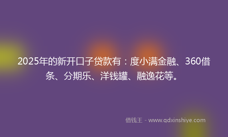 2025年的新开口子贷款有：度小满金融、360借条、分期乐、洋钱罐、融逸花等。