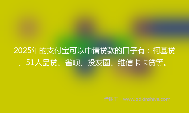 2025年的支付宝可以申请贷款的口子有：柯基贷、51人品贷、省呗、投友圈、维信卡卡贷等。