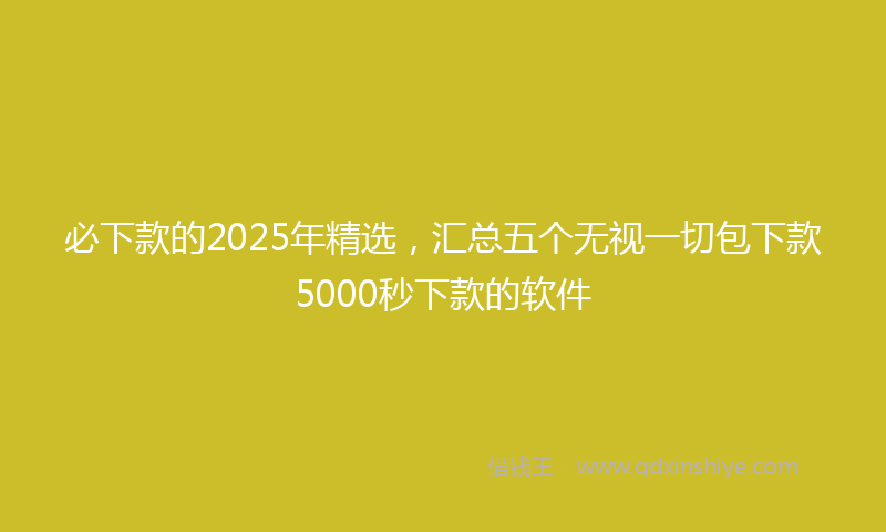 必下款的2025年精选，汇总五个无视一切包下款5000秒下款的软件