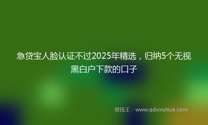 急贷宝人脸认证不过2025年精选，归纳5个无视黑白户下款的口子