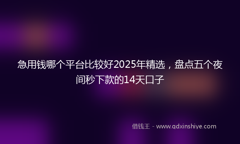 急用钱哪个平台比较好2025年精选，盘点五个夜间秒下款的14天口子