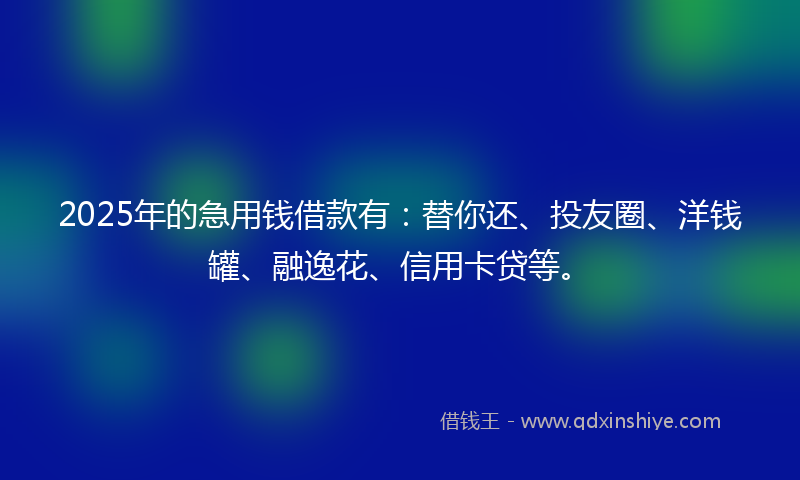 2025年的急用钱借款有：替你还、投友圈、洋钱罐、融逸花、信用卡贷等。