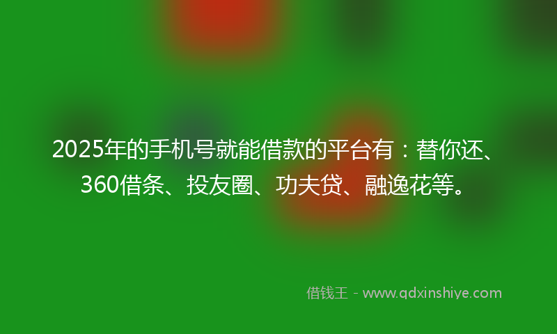 2025年的手机号就能借款的平台有：替你还、360借条、投友圈、功夫贷、融逸花等。
