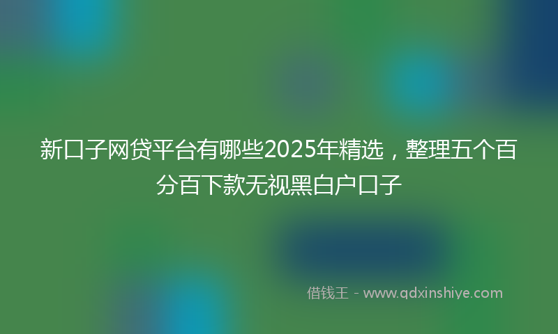 新口子网贷平台有哪些2025年精选，整理五个百分百下款无视黑白户口子