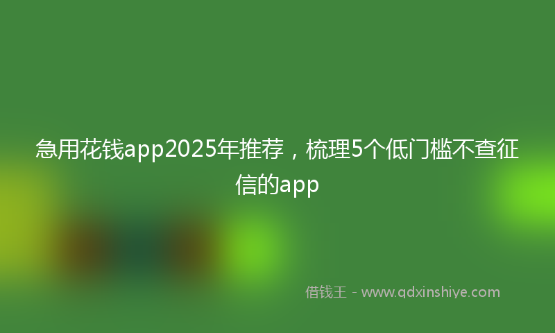 急用花钱app2025年推荐，梳理5个低门槛不查征信的app