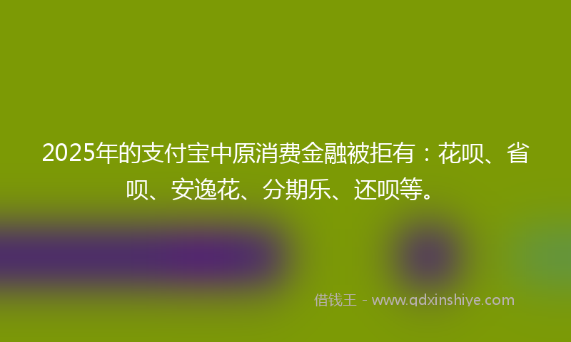 2025年的支付宝中原消费金融被拒有：花呗、省呗、安逸花、分期乐、还呗等。