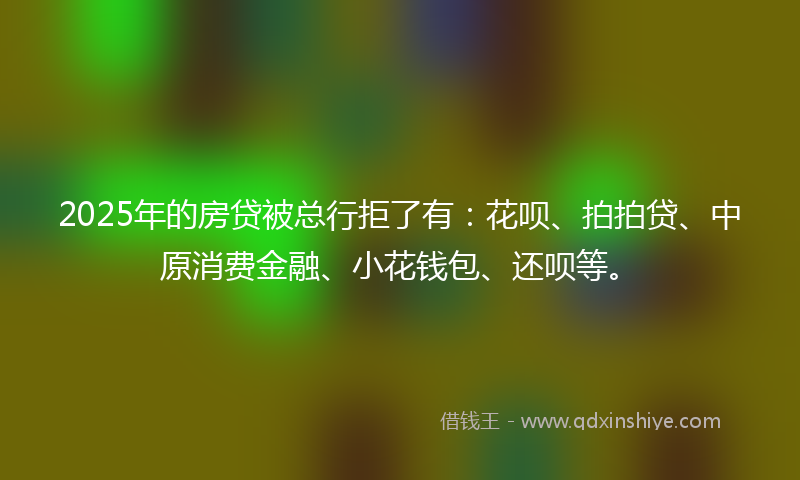2025年的房贷被总行拒了有：花呗、拍拍贷、中原消费金融、小花钱包、还呗等。