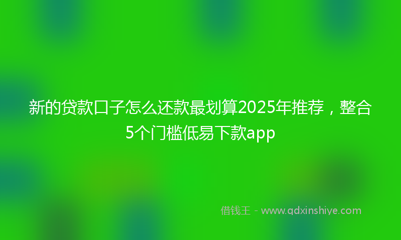 新的贷款口子怎么还款最划算2025年推荐，整合5个门槛低易下款app