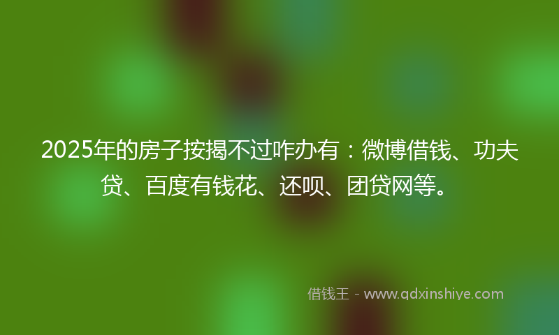 2025年的房子按揭不过咋办有：微博借钱、功夫贷、百度有钱花、还呗、团贷网等。