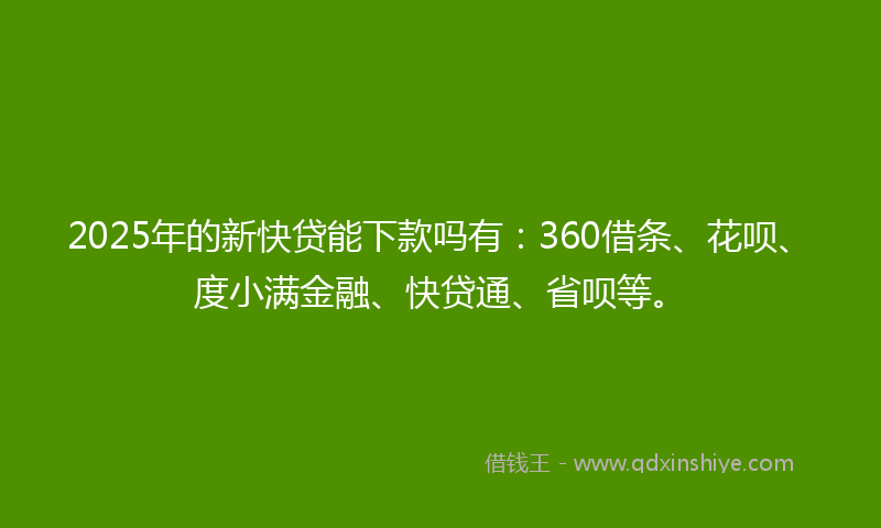 2025年的新快贷能下款吗有：360借条、花呗、度小满金融、快贷通、省呗等。