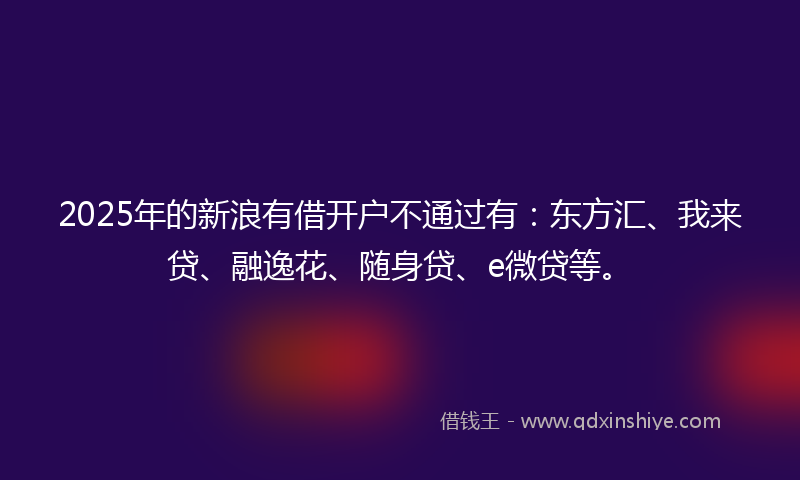 2025年的新浪有借开户不通过有：东方汇、我来贷、融逸花、随身贷、e微贷等。