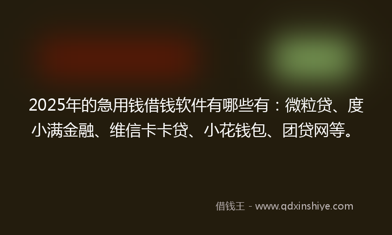 2025年的急用钱借钱软件有哪些有：微粒贷、度小满金融、维信卡卡贷、小花钱包、团贷网等。