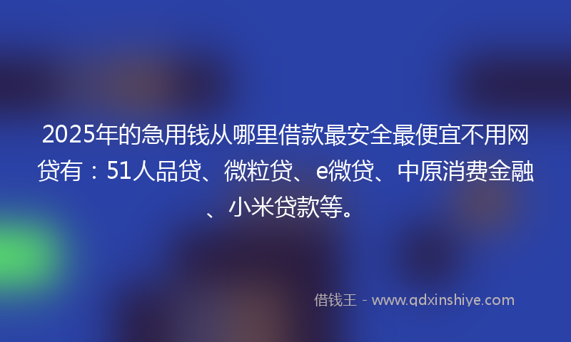 2025年的急用钱从哪里借款最安全最便宜不用网贷有：51人品贷、微粒贷、e微贷、中原消费金融、小米贷款等。
