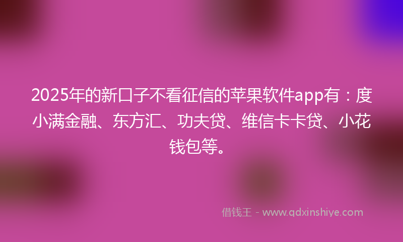 2025年的新口子不看征信的苹果软件app有：度小满金融、东方汇、功夫贷、维信卡卡贷、小花钱包等。