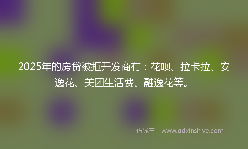 2025年的房贷被拒开发商有：花呗、拉卡拉、安逸花、美团生活费、融逸花等。
