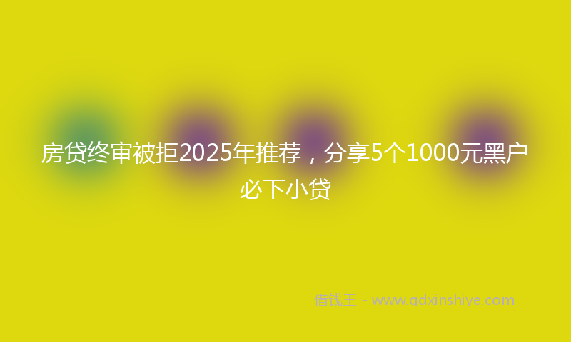 房贷终审被拒2025年推荐，分享5个1000元黑户必下小贷