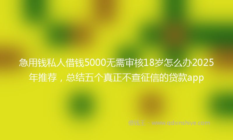 急用钱私人借钱5000无需审核18岁怎么办2025年推荐，总结五个真正不查征信的贷款app