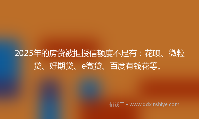 2025年的房贷被拒授信额度不足有：花呗、微粒贷、好期贷、e微贷、百度有钱花等。