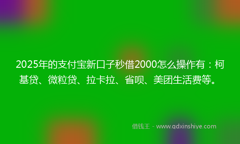 2025年的支付宝新口子秒借2000怎么操作有：柯基贷、微粒贷、拉卡拉、省呗、美团生活费等。
