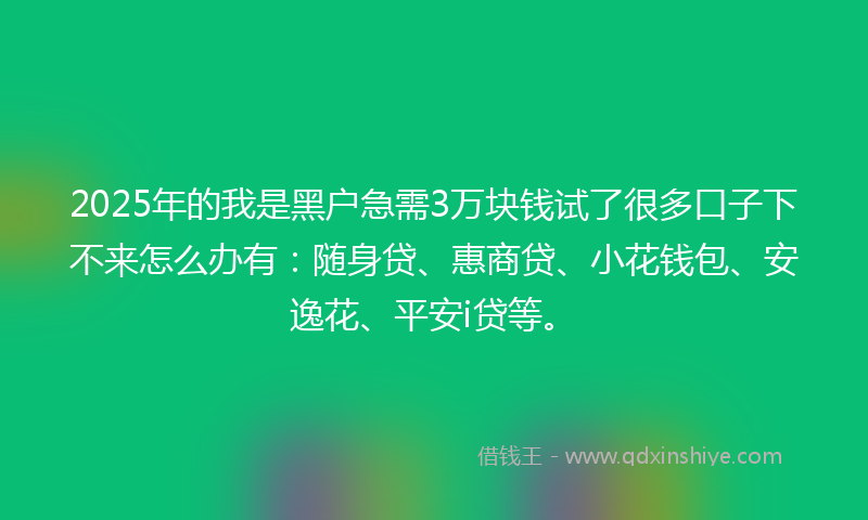 2025年的我是黑户急需3万块钱试了很多口子下不来怎么办有：随身贷、惠商贷、小花钱包、安逸花、平安i贷等。