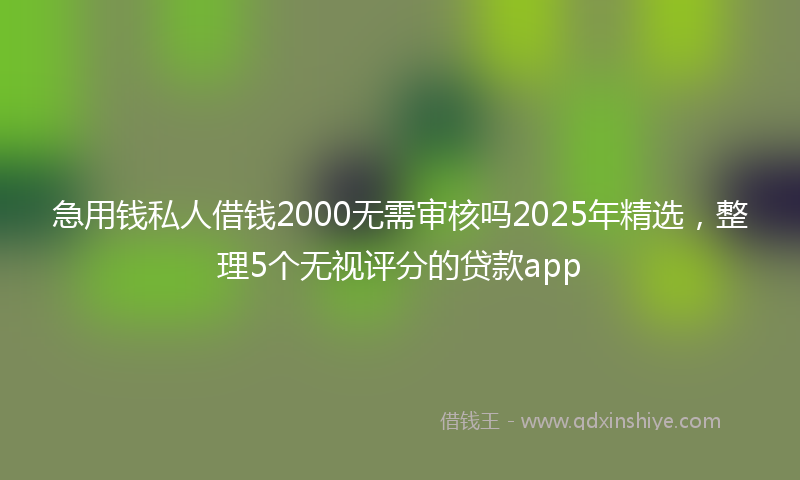 急用钱私人借钱2000无需审核吗2025年精选，整理5个无视评分的贷款app