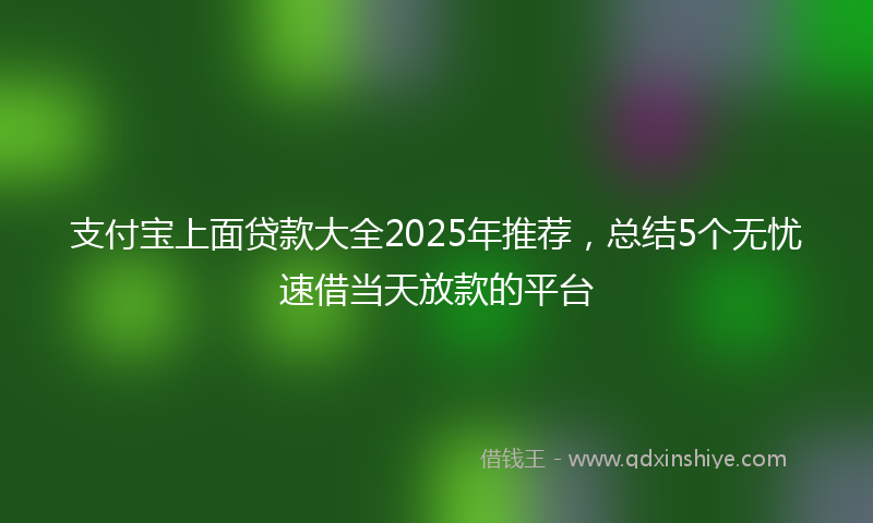 支付宝上面贷款大全2025年推荐，总结5个无忧速借当天放款的平台