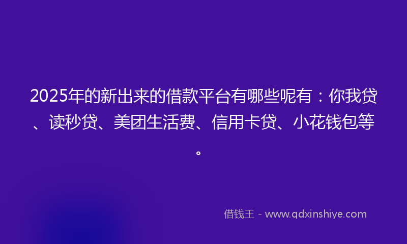 2025年的新出来的借款平台有哪些呢有：你我贷、读秒贷、美团生活费、信用卡贷、小花钱包等。