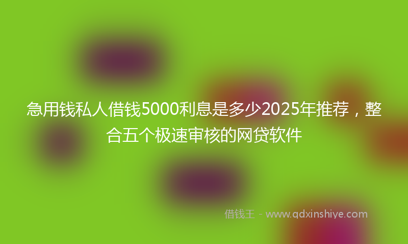急用钱私人借钱5000利息是多少2025年推荐，整合五个极速审核的网贷软件
