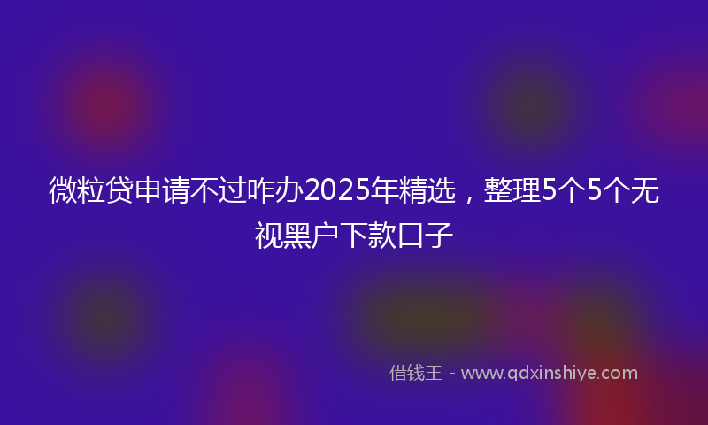 微粒贷申请不过咋办2025年精选，整理5个5个无视黑户下款口子