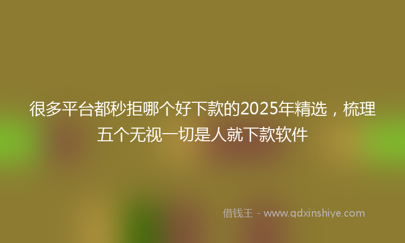 很多平台都秒拒哪个好下款的2025年精选，梳理五个无视一切是人就下款软件