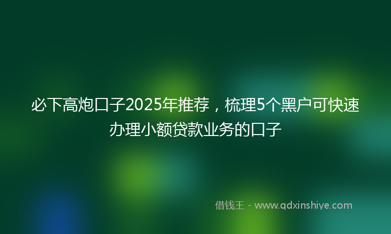 必下高炮口子2025年推荐，梳理5个黑户可快速办理小额贷款业务的口子