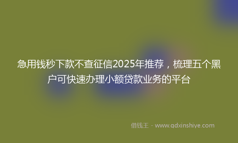 急用钱秒下款不查征信2025年推荐，梳理五个黑户可快速办理小额贷款业务的平台