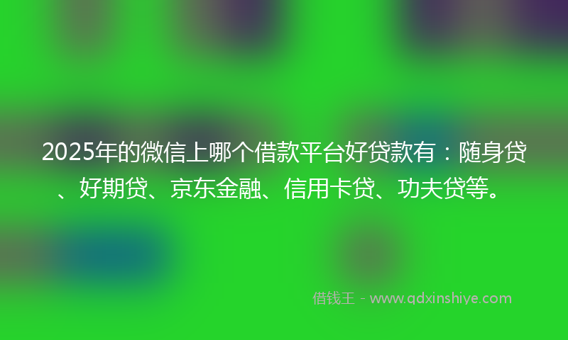 2025年的微信上哪个借款平台好贷款有：随身贷、好期贷、京东金融、信用卡贷、功夫贷等。