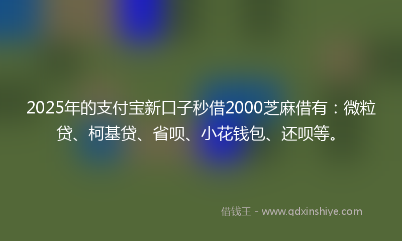 2025年的支付宝新口子秒借2000芝麻借有：微粒贷、柯基贷、省呗、小花钱包、还呗等。