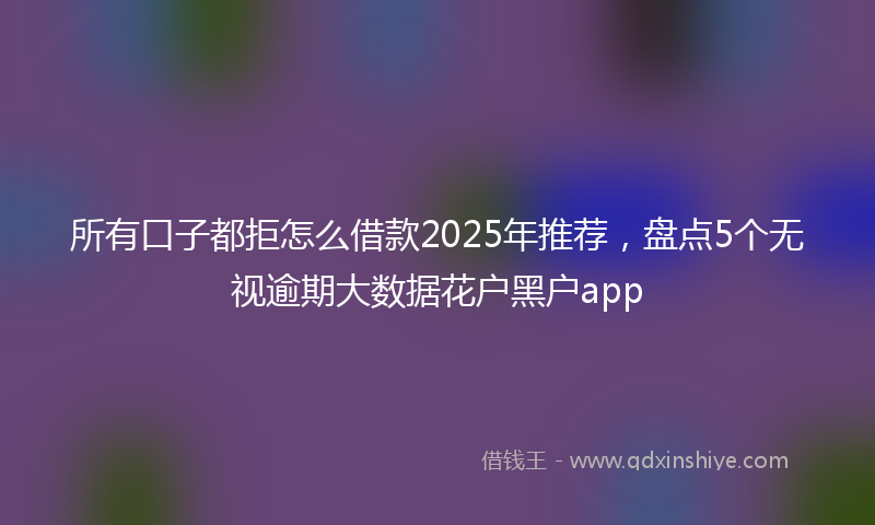 所有口子都拒怎么借款2025年推荐，盘点5个无视逾期大数据花户黑户app