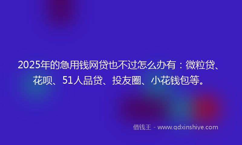 2025年的急用钱网贷也不过怎么办有：微粒贷、花呗、51人品贷、投友圈、小花钱包等。