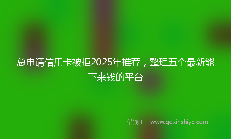 总申请信用卡被拒2025年推荐，整理五个最新能下来钱的平台