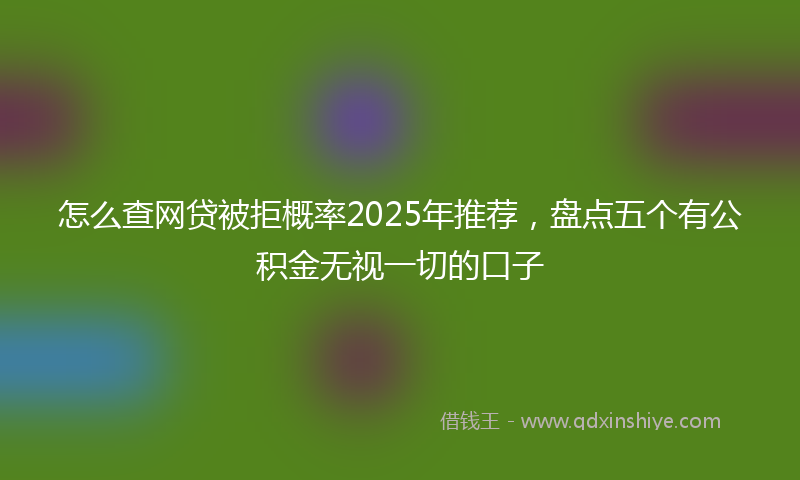 怎么查网贷被拒概率2025年推荐，盘点五个有公积金无视一切的口子