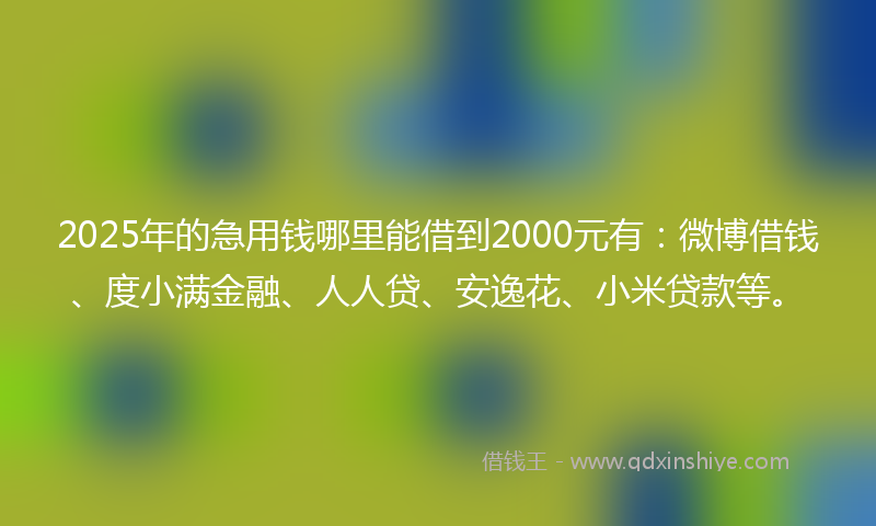 2025年的急用钱哪里能借到2000元有：微博借钱、度小满金融、人人贷、安逸花、小米贷款等。