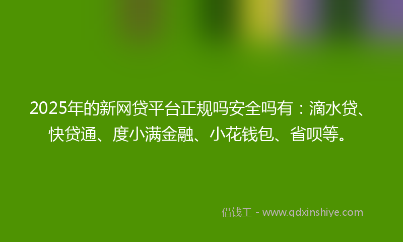 2025年的新网贷平台正规吗安全吗有：滴水贷、快贷通、度小满金融、小花钱包、省呗等。