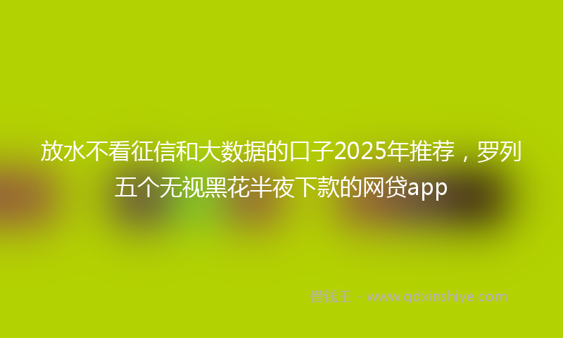 放水不看征信和大数据的口子2025年推荐，罗列五个无视黑花半夜下款的网贷app